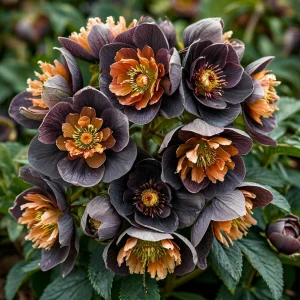 Морозник Блум Айс купить по цене от 499р. в интернет-магазине «Посадика» с доставкой почтой в в Каргополье и по всей России – [изображение №1].