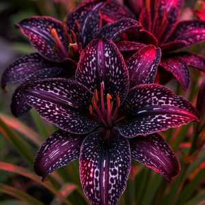 Лилейник Вояж купить по цене от 699р. в интернет-магазине «Посадика» с доставкой почтой в в Каргополье и по всей России – [изображение №1].